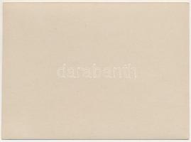 Máramarossziget, Sighetu Marmatiei; Marktszene / piac / market. photo (12,2 cm x 8,8 cm) (non PC) (f...