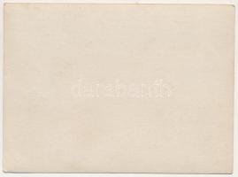 Máramaros, Maramures; Blick auf den Vrf. Pietrosu von Norden / kilátás a Nagy-Pietrosz csúcsra / vie...