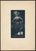1937 Menyhárt József fametszet könyvjegyei. Dr. berei Soó Rezső egyetemi ny. r. tanár bevezetésével....