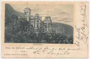 1901 Brassó, Kronstadt, Brasov; Schützenhaus / Lövölde. H. Zeidner kiadása / shooting hall and range (b)