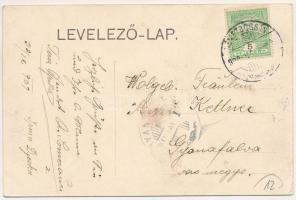 1909 Boksánbánya, Németbogsán, Deutsch-Bogsan, Bocsa Montana; utca / street view (EK)