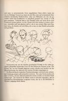 Glaser, Curt: 
Hans Holbein d[er] J[üngere] Zeichnungen. Ausgewählt und eingeleitet von Curt Glaser...