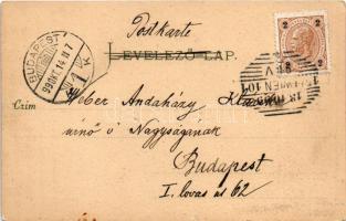 1899 Budapest, ős Pest és Buda a 17. században. Toldi Lajos kiadása. litho (kis szakadás / small tea...