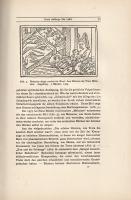 Worringer, Wilhelm: 
Die altdeutsche Buchillustration. Mit 105 Abbildungen nach Holzschnitten.
Mün...