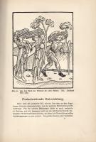 Worringer, Wilhelm: 
Die altdeutsche Buchillustration. Mit 105 Abbildungen nach Holzschnitten.
Mün...