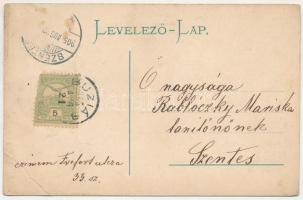 1905 Buziásfürdő, Baile Buzias; József-forrás. Francz Testvérek kiadása / spa, spring source (EB)