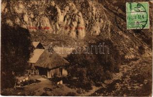 1911 Tordai-hasadék, Cheile Turzii, Torda, Turda; Malom részlet / mill. TCV card (EB)