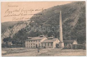 1916 Kozlatelep, Berszászka; Gutmann Testvérek kőszénbánya, brikett gyára / coal mine, factory (EK)