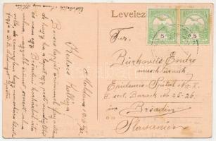 1916 Kozlatelep, Berszászka; Gutmann Testvérek kőszénbánya, brikett gyára / coal mine, factory (EK)