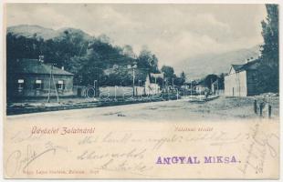 1901 Zalatna, Zlatna; részlet. Nagy Lajos kiadása / view (EK)