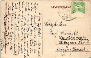 1912 Szászsebes, Mühlbach, Sebesul Sasesc, Sebes; Stadtpark / Városliget. Johann Rilki kiadása / par...