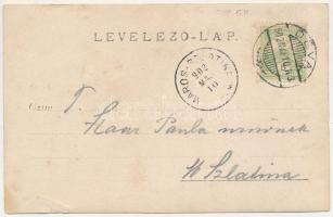 1902 Déva, Déva vára a múlt században. Péntek felvétele / castle. photo (vágott / cut)