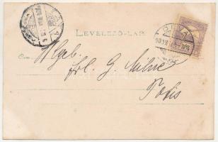 1900 Déva, Déva vára / castle. photo