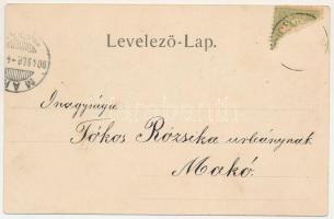 1904 Küküllővár, Cetatea de Balta; Gróf Haller Jenő Várkastélya. Jeremiás Áron czég kiadása / Die Ko...