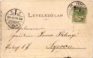 1902 Resica, Resita; Fő tér, Weiss üzlete. Weiss Adolf kiadása / Hauptplatz / main square, shops (vá...