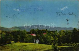 1925 Szovátafürdő, Baile Sovata; Steinebach villa. Borbély Gyula kiadása, Ferenczi felvétele / Vila Steinebach / villa (fl)