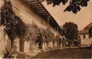 Nagybánya, Baia Mare; Directiunea minelor / Bányaigazgatóság. Krizsánovszky kiadása / mine directorate office (EK)