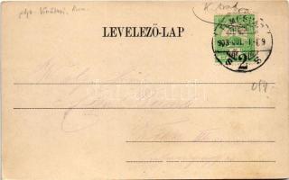 1903 Temesvár, Timisoara; Vadászerdő, M. kir. erdőőri szakiskola. Uhrmann Henrik kiadása / forest ra...