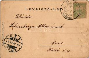 1905 Buziásfürdő, Baile Buzias; Szent Antal csodakút a tóval. Nosek Gusztáv kiadása / spa, lake with...