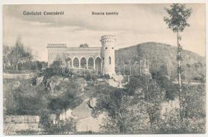 1915 Csucsa, Ciucea; Boncza kastély. Ifj. Simon Gerő kiadása / castle (EB)