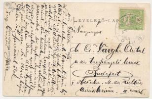 1915 Csucsa, Ciucea; Boncza kastély. Ifj. Simon Gerő kiadása / castle (EB)