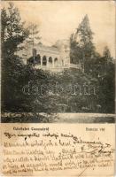 Csucsa, Ciucea; Boncza kastély / castle (fl)