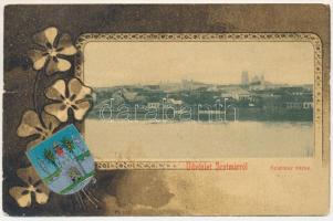 1904 Szatmárnémeti, Satu Mare; Látkép. Szecessziós címeres litho lóherével. Reizer János kiadása / view. Art Nouveau, coat of arms litho with clovers (szakadás / tear)