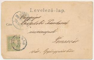1903 Fogaras, Fagaras; Apaffy (Apafi) fejedelem kastélya a XIV. századból. Thierfeld Dávid kiadása /...