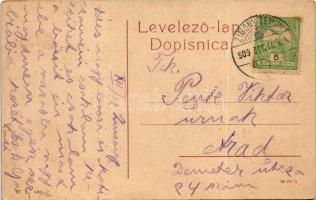 1909 Zimony, Semlin, Zemun; látkép. W.L. 889. / general view (fl)