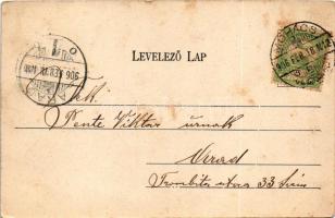 1906 Mohács, Állami polgári iskola. Weiser Miksa kiadása (fl)