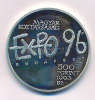 1993. 500Ft Ag "Expo 96" T:UNC (eredetileg PP) patina Adamo EM131