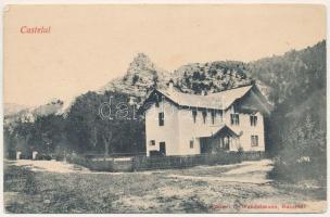 Brezoi, Brezoiu (Valcea); Castelul. "Lotru" Societate Anonima Romana pentru Exploatare de Paduri / castle, villa. Edit. L. Wandelmann (Bucharest) (EK)