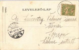 1905 Maroshévíz, Oláhtoplica, Toplicza, Toplita, Toplica; Urmánczy fürdő és kert / spa, bathhouse an...