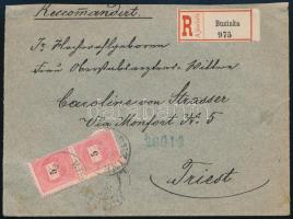 1890 Ajánlott levél előoldalon elektro 5kr pár, hátoldalon 1kr, 3 x színesszámú 3kr II. lemez E "BUZINKA" - "TRIEST"