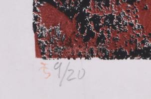 Azonosítatlan spanyol művész: Szűrrealista grafika. Litográfia, papír, jelzett, sorszámozott 9/20.Te...