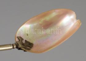 cca 19. sz. második fele, 5 darab evőeszköz gyöngyház részekkel, sérüléssel, h: 25 cm