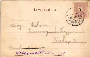 1899 Budapest VII. Petánovits József Hotel Metropole szálloda, üzletek, kávéház, Központi (Keleti) p...