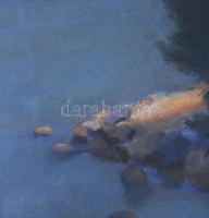 Tunyogi Szűcs Sándor (1890-1974): Balatonpart. Pasztell, papír, jelezve balra lent: Tunyogi Szűcs, ü...