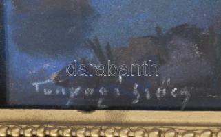 Tunyogi Szűcs Sándor (1890-1974): Balatonpart. Pasztell, papír, jelezve balra lent: Tunyogi Szűcs, ü...