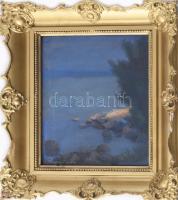 Tunyogi Szűcs Sándor (1890-1974): Balatonpart. Pasztell, papír, jelezve balra lent: Tunyogi Szűcs, ü...