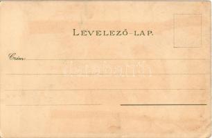 Budapest VIII. Nemzeti Múzeum télen. Kuenstlerpostkarte No. 2122. von Ottmar Zieher. litho s: Raoul ...