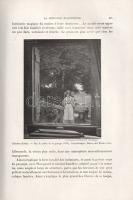 Focillon, Henri: La peinture au XIXe siecle. La retour á l'Antique. Le Romantisme. Ouvrage illu...