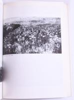 Szinyei Merse Anna: Szinyei Merse Pál élete és művészete. Bp., Corvina, 1990. 243p. Kiadói papírköté...