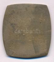 DN "Műegyetem 1929-1934 - 25" névre szóló, egyoldalas bronz emlékérem (47x43mm) T:XF
