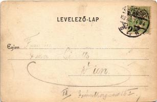 1902 Budapest XII. Kilátás a János-hegyről. Schwarcz J. kiadása (kopott sarkak / worn corners)