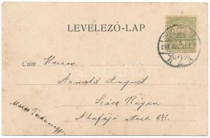 1902 Budapest XII. Zugliget, Laszlovszky hegy, villák. Schwarch J. (fl)