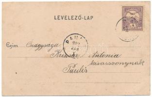 1902 Budapest XV. Rákospalota, Palota-Újpest; vasútállomás. Schön Bernát kiadása (fl)