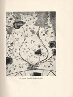 Worringer, Wilhelm: 
Griechentum und Gotik vom Weltreich des Hellenismus. Mit 122 Abbildungen.
Mün...