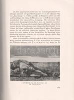 Glaser, Curt: Die Graphik der Neuzeit vom Anfang des XIX. Jahrhunderts bis zur Gegenwart. Mit 486 Ab...