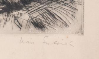 Iván Szilárd (1912-1988): Balaton. Rézkarc, papír, jelzett, 30x39 cm. Lapszéli ázásnyommal. Üvegezet...